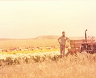 מאיר סיידה בשדה פרחים במשק המשפחתי לפני הקמת משתלת השתיל