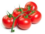 עגבניית חממה | משתלת השתיל תדהר | משתלה | משתלות | מחלקת ירקות | השתיל