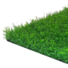דשא סינתטי באר שבע