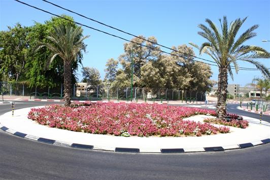 פרחים עונתיים | פרחים רב שנתיים | צמחים ושיחים |  עצי נוי ועצי פרי