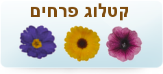 פרחים | משתלות | משתלה | השתיל | צמחים | גינון