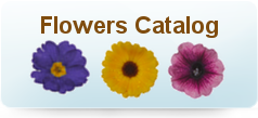 flowers catalog | hashtil nursery | plants | bushes | flowers | trees | palms | south | nursery