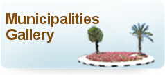 vinka | gardeners | municipalities | hashtil nursery | nurseries | flowers