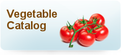 hashtil nursery | vegetable seedlings | nursery | farmers | israel agriculture