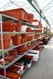 Plastic Planters