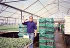 Yohanan Saida And The First Delivery Boxes
