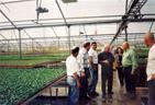 visit of Raful - agriculture minister at the nursery